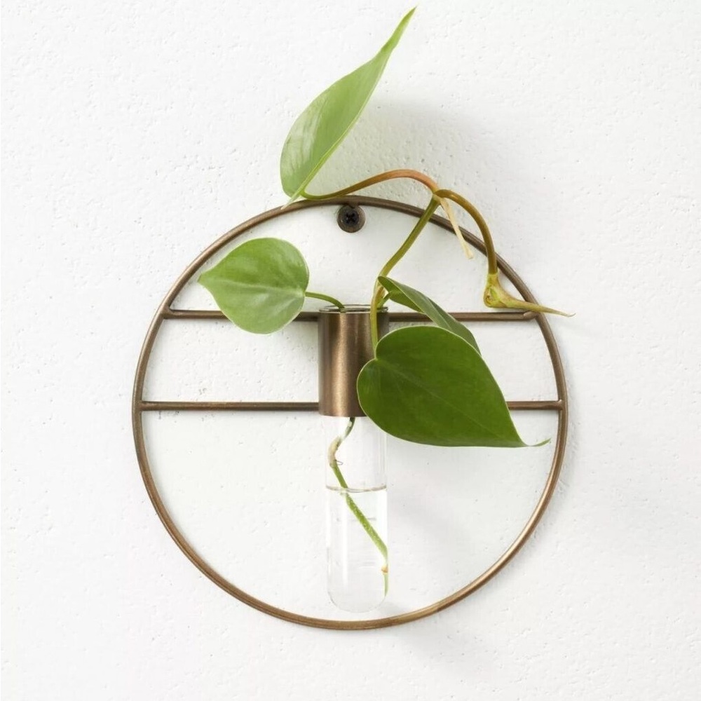 Hilton Carter for Target 2021 Wall Mounted Propagation Vessel